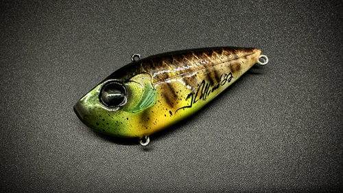 RED-EYE BLUE-GILL