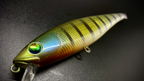 SIMPLE GILL