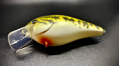 BABY BASS - Image 4