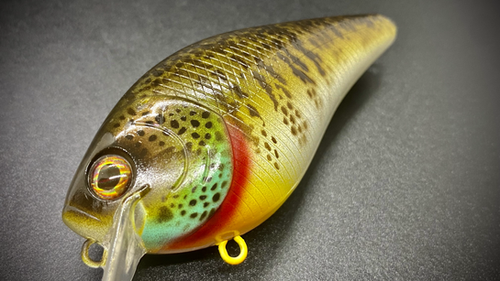 NATURAL COLLINS GILL