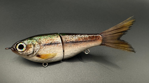 TENNESSEE SHAD FINESSE GLIDE BAIT - Image 2