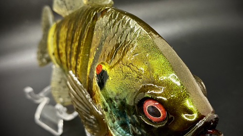 PBG aka "Personal Best Gill" #006 - Image 5