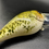 Thumbnail: WHITE CRAPPIE