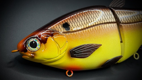 SPICY MUSTARD SHAD HINKLE JR. CLONE - Image 2