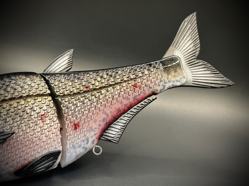 HIGH DEF HINKLE SHAD CLONE - GIZZARD SHAD HD - Image 4