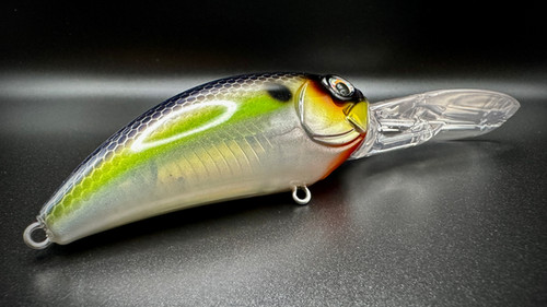 ROCK CITY SHAD - G87 20A - Image 7