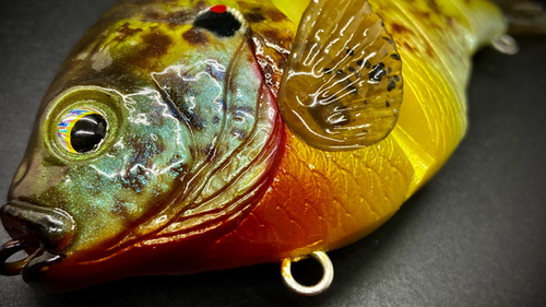 PBG aka "Personal Best Gill" #005 - Image 8