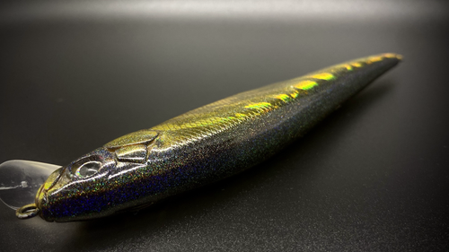 GOLDEN SHINER FLASH - Image 3