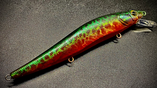 PUMPKINSEED - Image 3