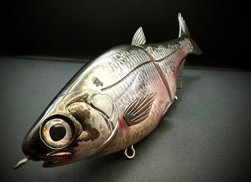 HINKLE SHAD JR. CLONE - GIZZARD SHAD - Image 4