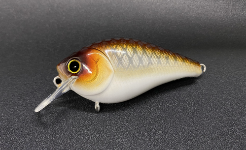 COPPER SHAD - Image 4