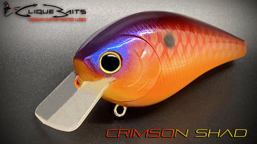 CRIMSON SHAD