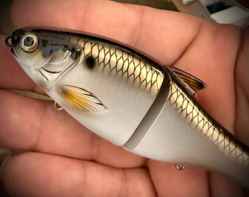 SHIZZARD - FINESSE GLIDE BAIT