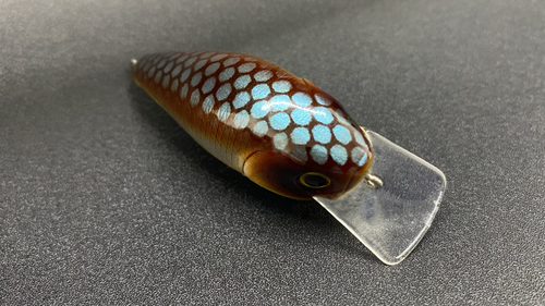 COPPER SHAD - Image 5