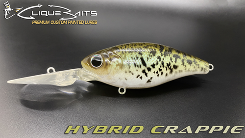 HYBRID CRAPPIE - DEEP