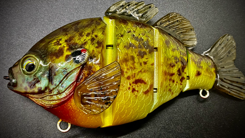 PBG aka "Personal Best Gill" #005 - Image 9