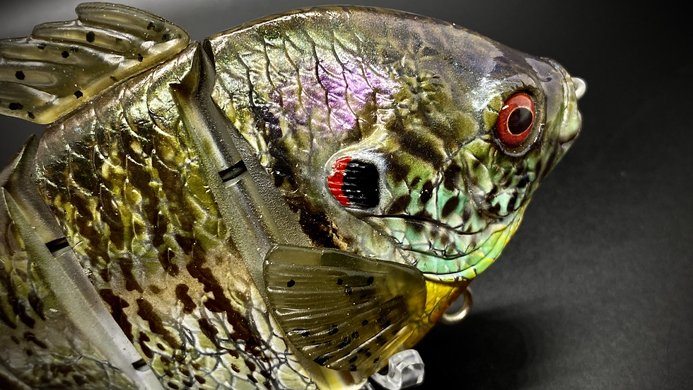 Thumbnail: PBG aka "Personal Best Gill" #00