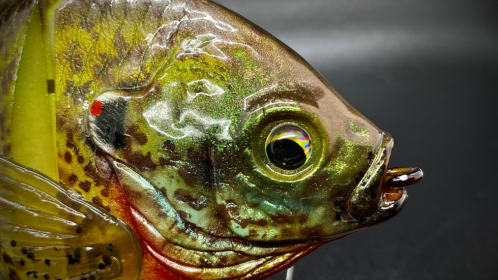 Thumbnail: PBG aka "Personal Best Gill" #005