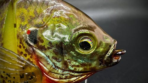 PBG aka "Personal Best Gill" #005 - Image 3