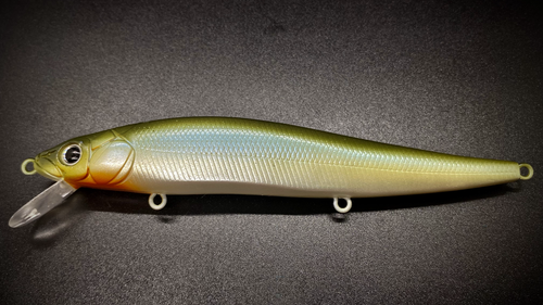 MOSSBACK SHAD - Image 2