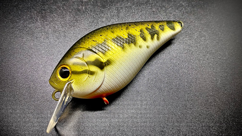 BABY BASS