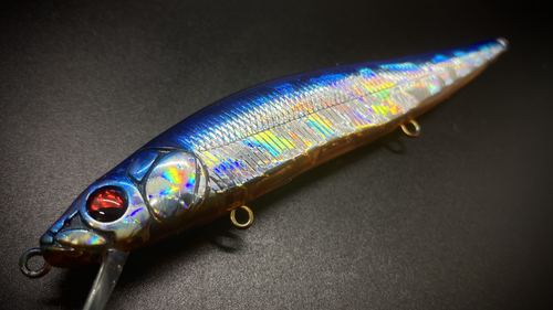 BLUE BACK/ORANGE BELLY FLASH