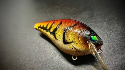 NATIVE CRAW - Image 3