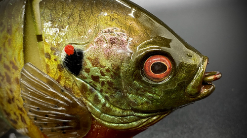 PBG aka "Personal Best Gill" #003 - Image 6