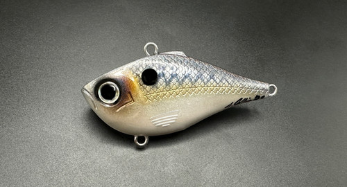 SHIMMER SHAD - RIP RAP - Image 2