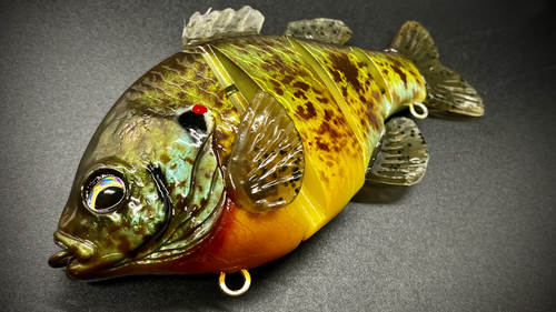 PBG aka "Personal Best Gill" #004