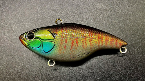 PALE GILL VIBER - Image 3