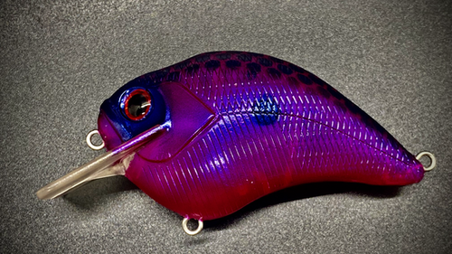 MORNING DUSK - Image 2