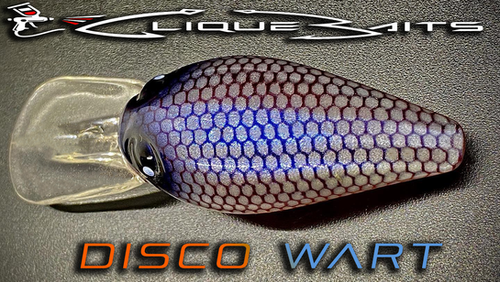 DISCO WART - Image 2