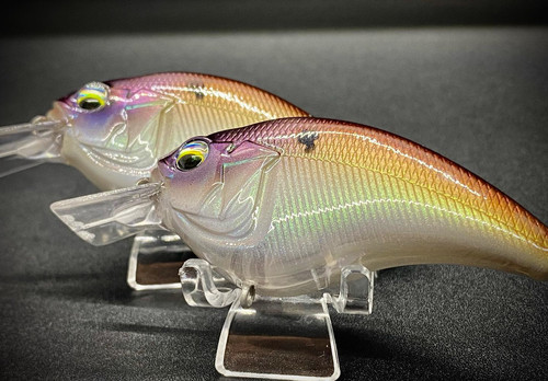 PRISIM SHAD - Image 4