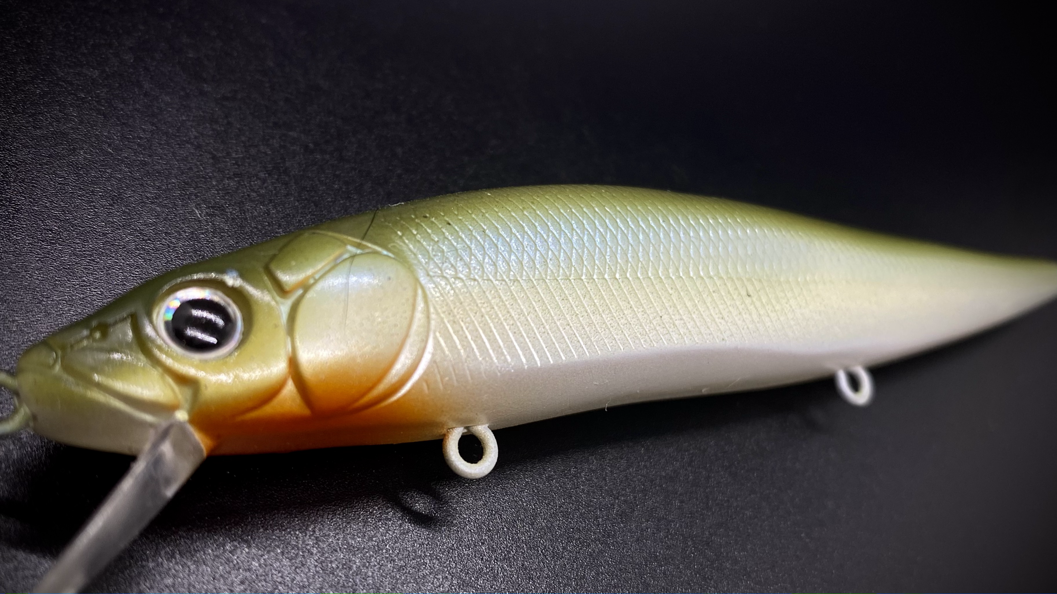 MOSSBACK SHAD