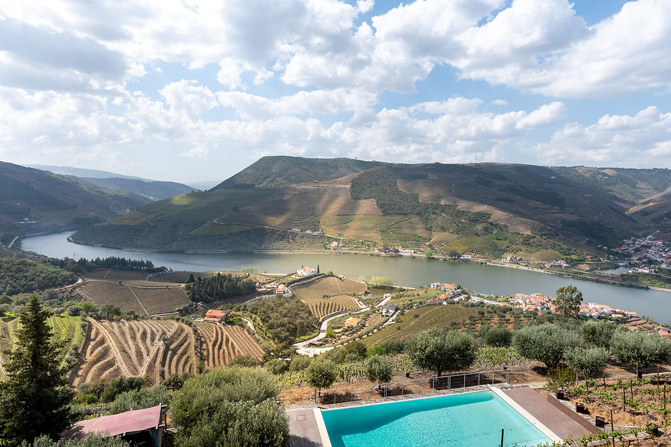 Pool villa surrounded by vineyards with panoramic view to the Douro Valley