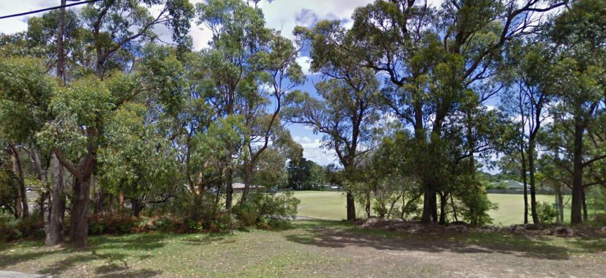 Bambara (Belrose Oval)