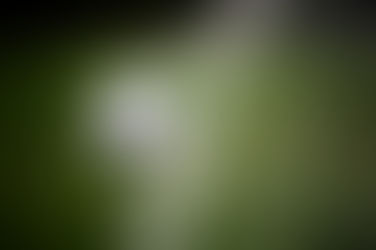 Match Sheets for 19th to 21st May