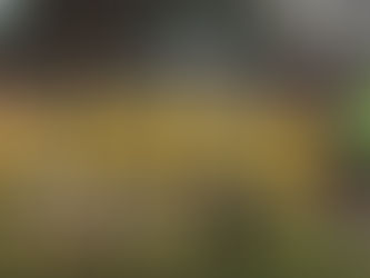 Match Reports | April 7th & 8th