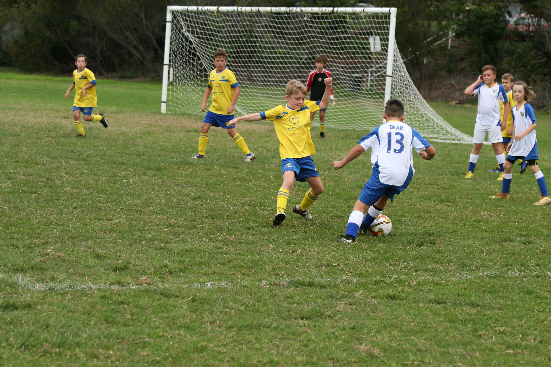 U12-2_b