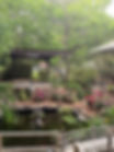 Pond.5.jpeg