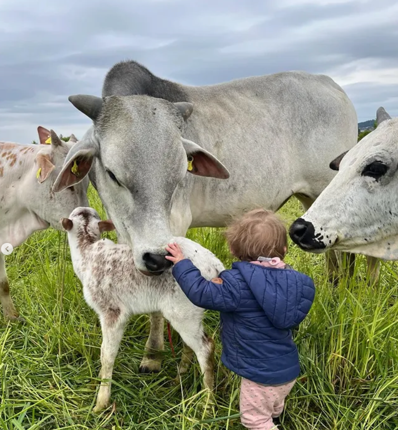 Biodynamischer Demeter-Bauernhof DorfmattHOF in Dintikon im Aargau