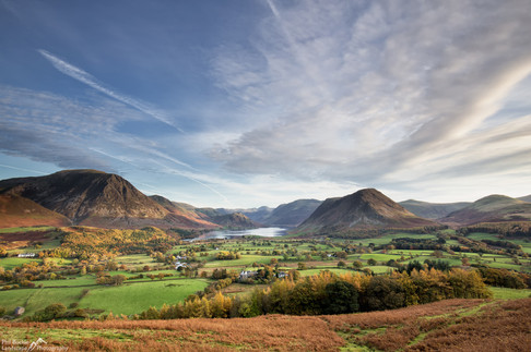 Low Fell View