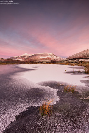 Tewet Tarn's Curves.jpg