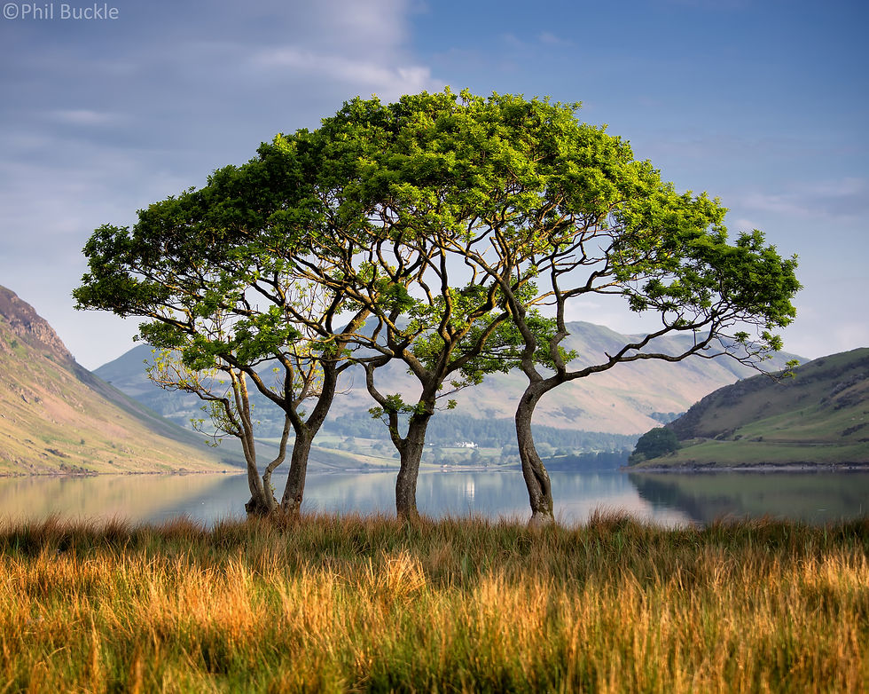 Crummock Water