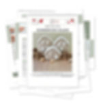 PDF pattern with step-by-step pictures