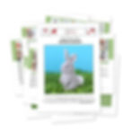 PDF pattern with step-by-step pictures