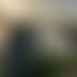 Master Your Swing: Techniques Every Golfer Should Know