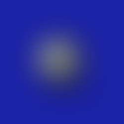 So, what exactly is a Chief of Staff?