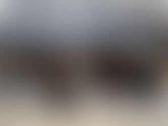 Joy e-bike continues to expand its presence with the inauguration of 12 more Distributor Showrooms a